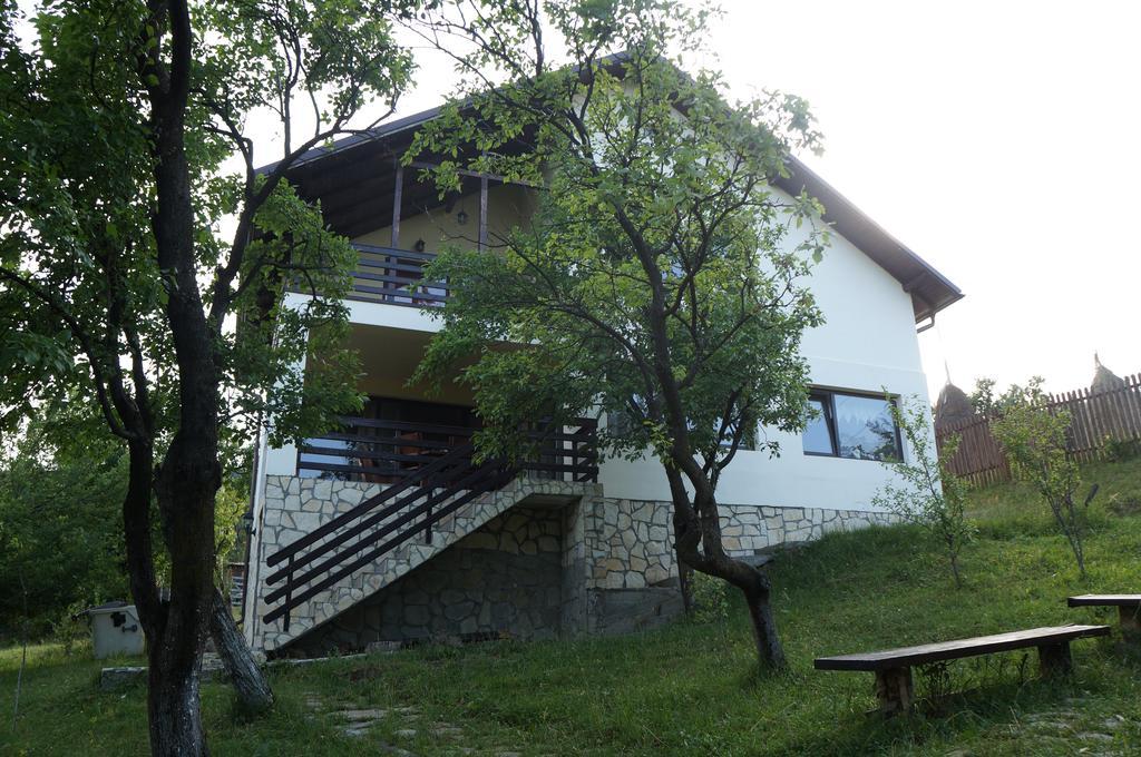 Casa Paltinu Hotel Lunca Mare Exterior photo